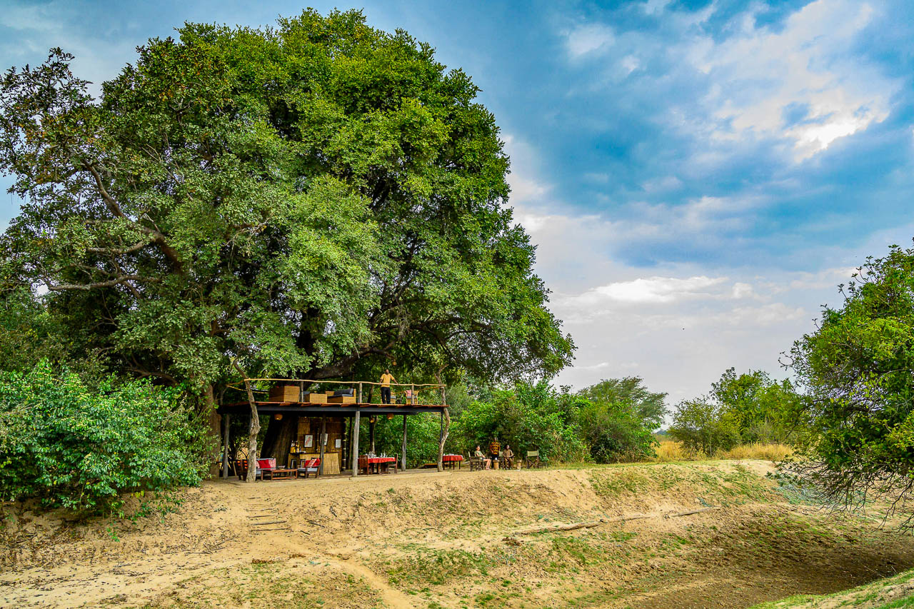 Chikoko Tree Camp